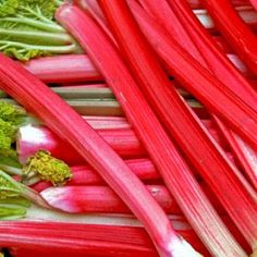 Rhubarb